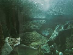 -福州罗源湾海洋世界旅游区