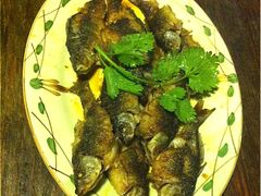 香煎鱼-田园山庄农家乐(石岩店)