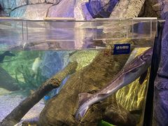 -沈阳海洋探索中心