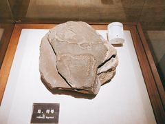 -宁夏博物馆