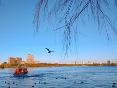 -济南大明湖景区