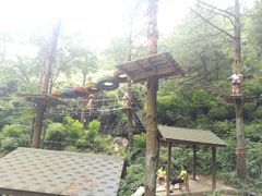 -梦幻奥陶纪景区