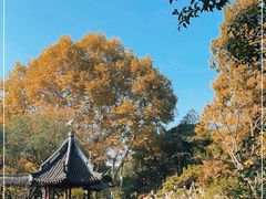 -上海醉白池公园