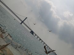 -星海湾跨海大桥