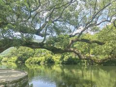-上坦村