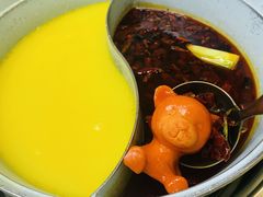 -青瓷火锅料理(西单大悦城店)