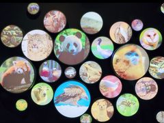 -四川大学博物馆