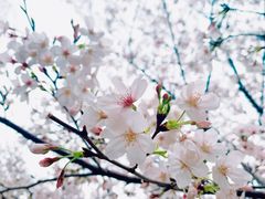 -西北湖绿化广场