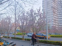 -凯德MALL(望京店)