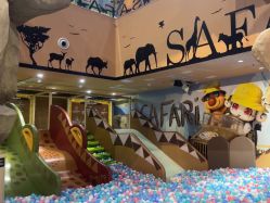-卡通尼·Safari非洲探索乐园·生日会(金桥国际商业广场店)