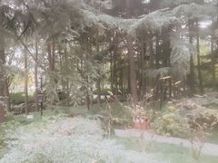 -大雁塔北广场音乐喷泉