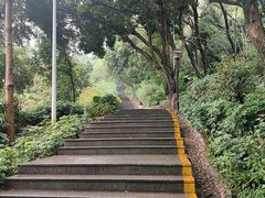 -仙岳公园