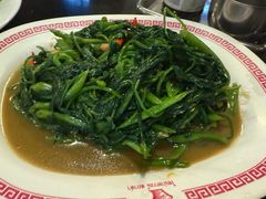 -中国城银都鱼翅酒楼