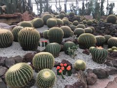 -南通洲际绿博园