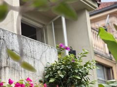 -看见远方·莫干遥远的山民宿