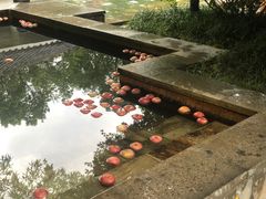 -深业半汤御泉庄温泉