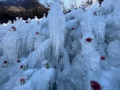 -秦岭终南山世界地质公园翠华山景区