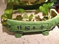 -中国宋庆龄青少年科技文化交流中心