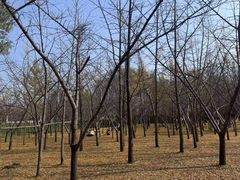 -森林公园(尖草坪区)