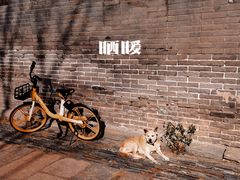 -春风习习