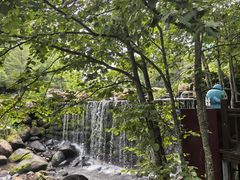 -汤旺河林海奇石景区
