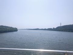 -沈阳鸟岛