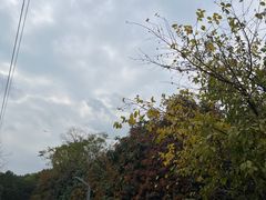 -闵行体育馆-停车场