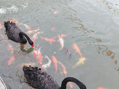 -天津市峰山药王古寺