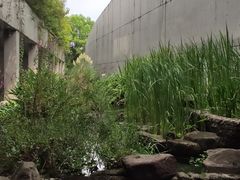 -中国湿地博物馆