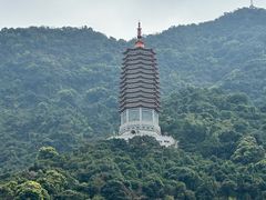 -深圳仙湖植物园