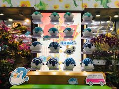 -东南花都花博园