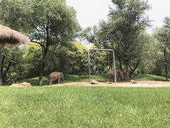 -北京野生动物园