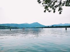 -西湖外事游船(花港观鱼码头)