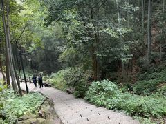-灵顺寺