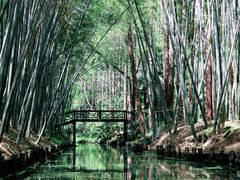 -同里国家湿地公园