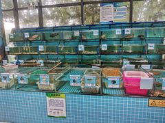 水产区-锦里海景海鲜餐厅.三亚老字号(亚龙湾中心广场店)