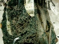 芝士核桃法棍-GAONNURI加温努力(马场店)
