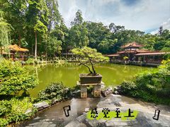 -深圳仙湖植物园