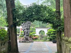 -南山植物园