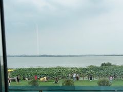-七的湖·晚芳亭·阳澄湖农家菜·大闸蟹(莲花岛店)