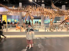 -国家自然博物馆