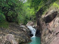 -广州白江湖森林公园