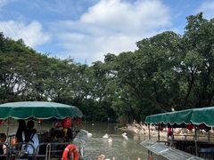 -广州长隆飞鸟乐园