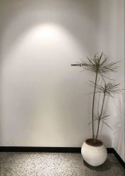 -SWANK SALON