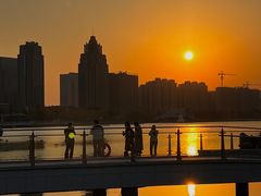 -金沙湖公园