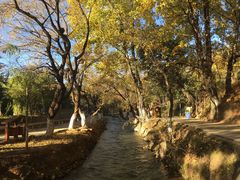 -黑龙潭公园