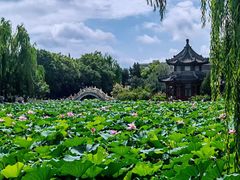 -莲池书院博物馆