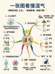 点击看大图 -半岛故事·法儿曼抗衰·indiba中心