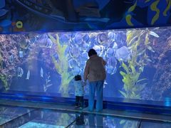-南昌融创海世界