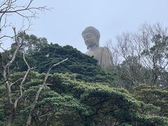 -昂坪360缆车